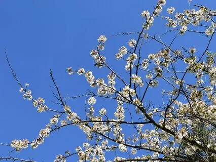 Mindfulness Meditation To Escape Social Media