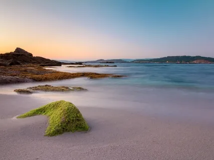 Mindfulness Meditation To Heal The Body & Mind