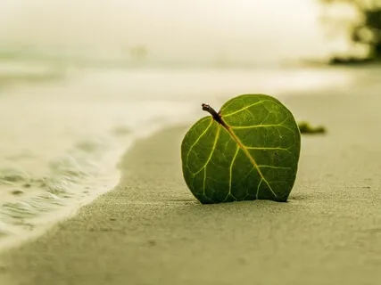 Mindfulness Meditation To Overcome Limiting Beliefs