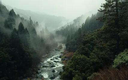 Mindfulness Meditation With A Simple Distraction Technique