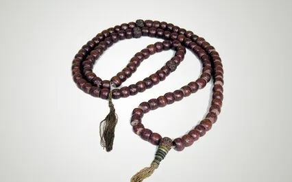 Mindfulness Meditation With Lama Aria Drolma 04/18/2022