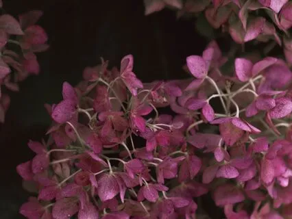 Mindfulness Meditation