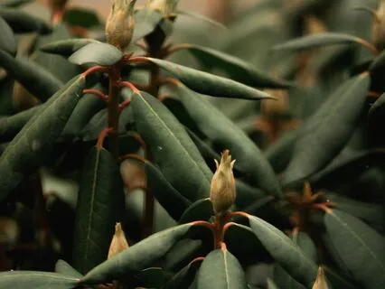 Meditation For Mindfulness