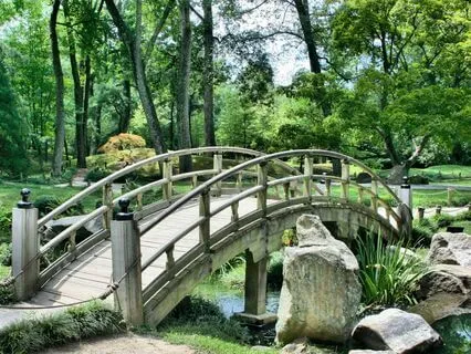 Mindfulness Meditation