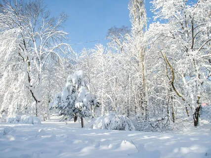 Mindfulness - Medytacja Chrześcijańska / Modlitwa Jezusowa