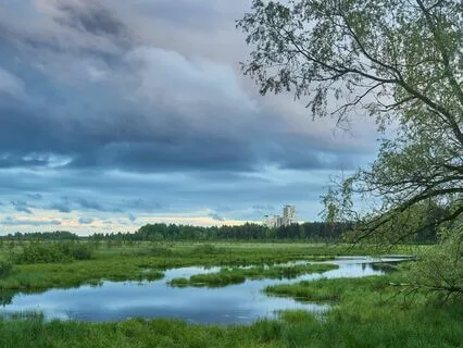 Mindfulness Melodies: Anxiety Easer