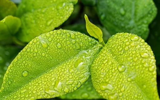 Mindfulness Method:  R.A.I.N. For Strong Emotion Release  