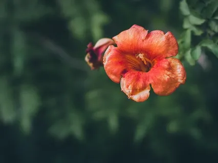 Mindfulness Mini-Meditation 