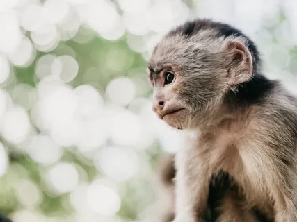 Mindfulness Minutes: Here, There, Now