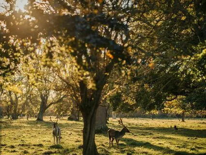 Mindfulness Moments: Music To Release Anxiety