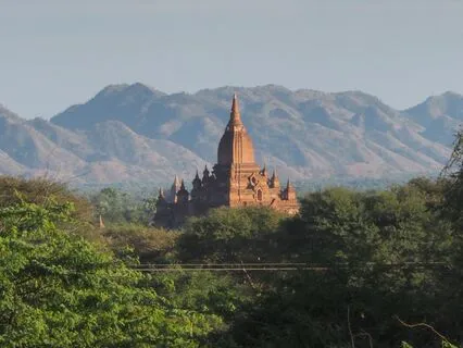 Mindfulness Next To The Forest Temple