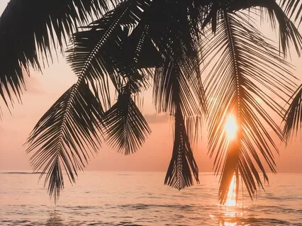 Mindfulness: Noting Thoughts