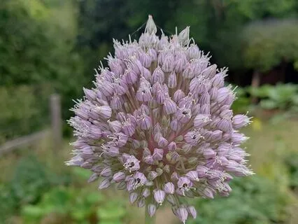 Mindfulness Now - Piano - Meditative Songs