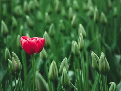 Mindfulness Of Bias And Judgment