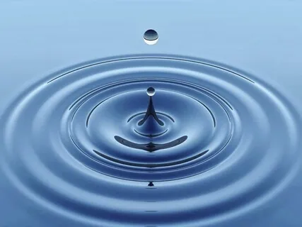 Mindfulness Of Body And Breath