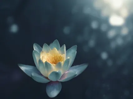 Mindfulness Of Body & Thoughts