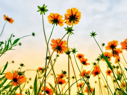 Mindfulness Of Breath