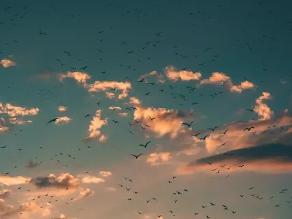 Mindfulness Of Breath Part 1