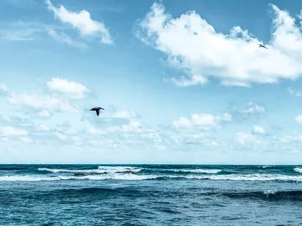 Mindfulness Of Breath  