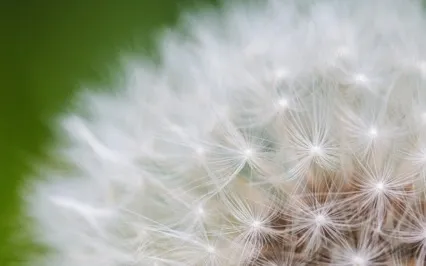 Mindfulness Of Breath & Body