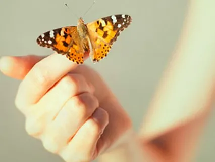 Mindfulness of Breath and Body