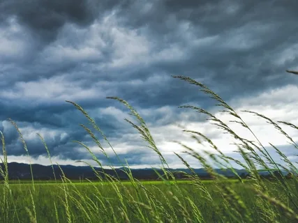 Mindfulness Of Breath And Body