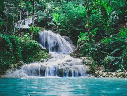 Mindfulness Of Breath, Body, Sound, Thoughts And Feelings