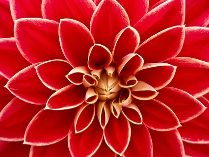 Mindfulness of Breath: Exercise 1