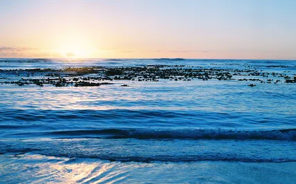 Mindfulness Of Breath For Peace & Relaxation