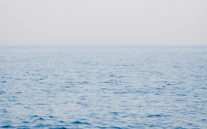 Mindfulness Of Breath In The Nostrils, Chest, Belly, Body