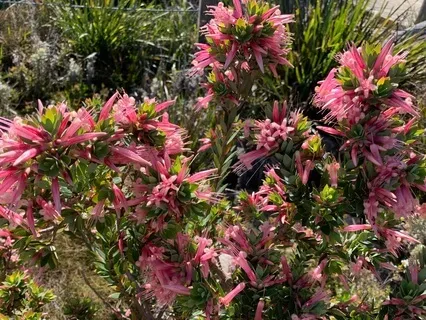 Mindfulness Of Breath Short Practice