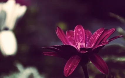 Mindfulness Of Breath To Release Anxiety