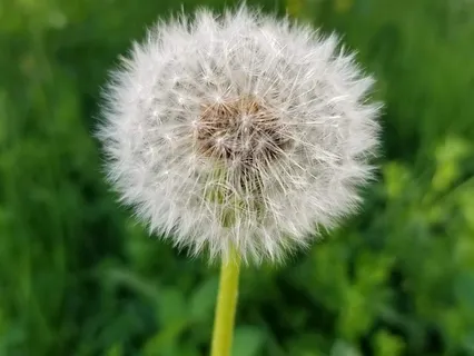 Mindfulness Of Breath Today