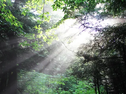 Mindfulness of Breath with Daily Motivation