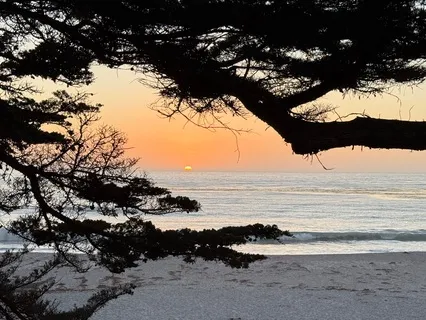 Mindfulness Of Breath