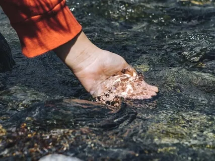 Mindfulness Of Breathing