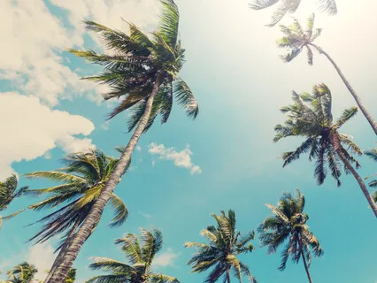 Mindfulness Of Breathing 2