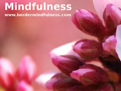 Mindfulness of Breathing