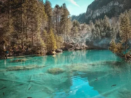 Mindfulness Of Breathing | 20 Minutes