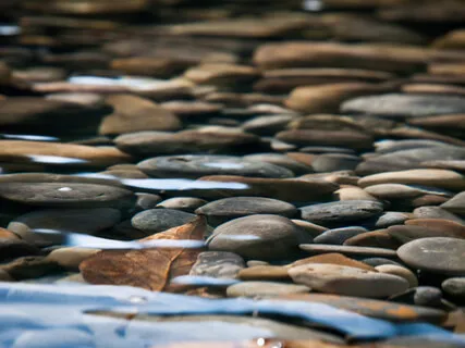 Mindfulness Of Breathing