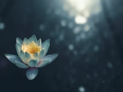 Mindfulness Of Breathing For Anxiety Relief