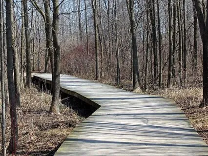 Mindfulness Of Breathing For Beginners