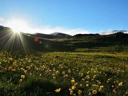 Mindfulness of Breathing Meditation