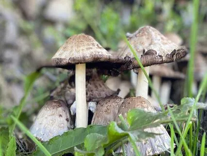 Handling Your Thoughts During A Breathing Meditation