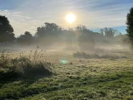 Mindfulness Of Breathing
