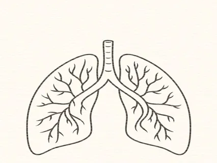 Mindfulness Of Breathing