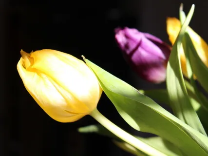 Mindfulness Of Difficult Physical Sensations (Pain)