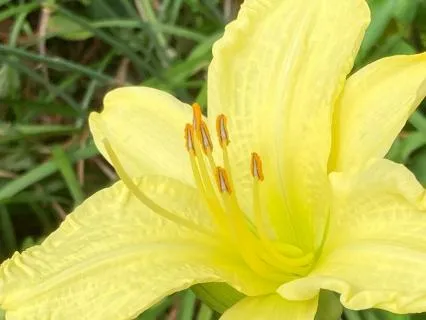 MIndfulness Of Doubt Hindrance Contemplation Meditation