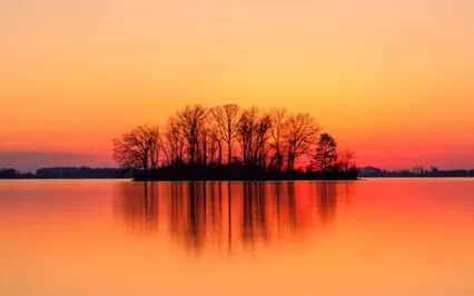 Mindfulness Of Emotion, Emotion Surfing