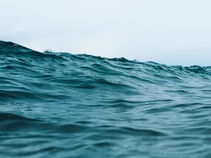 Mindfulness Of Emotions As Body Sensations